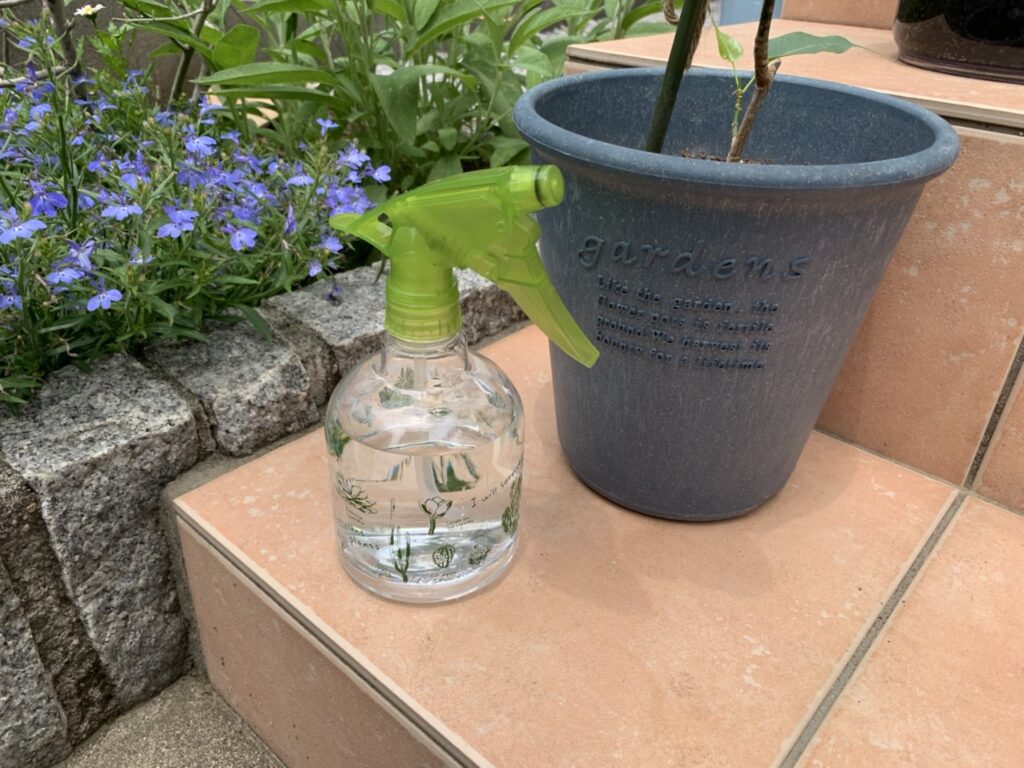 魔女の幸せ魔法 Com