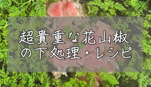 今が旬の貴重な花山椒を味わい尽くす！花山椒の下処理とおすすめレシピ